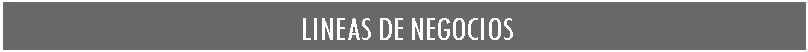 Cuadro de texto:  LINEAS DE NEGOCIOS